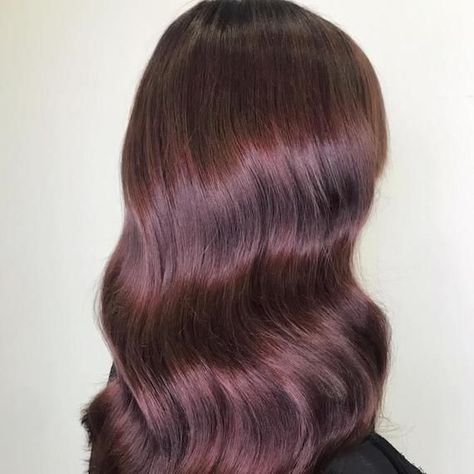 What started as faded pink hair was turned into this punchy plum brown color, thanks to the expertise of Wella Educator, Laila Pettersen. Click for more plum hair color ideas. Hair Beauty, Instagram, Brunette Color, Natural Brown Hair, Golden Brown Hair Color, Plum Brown Hair, Haar, Natural Hair Color, Violet Brown Hair