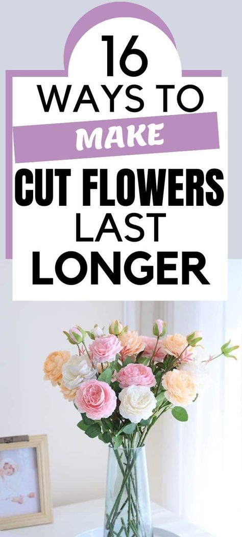 Fresh, Gardening, Flowers Last Longer, Fresh Cut Flowers, Picking Wild Flowers, Cut Flowers, Flower Making, Fresh Cut, Diy Flowers