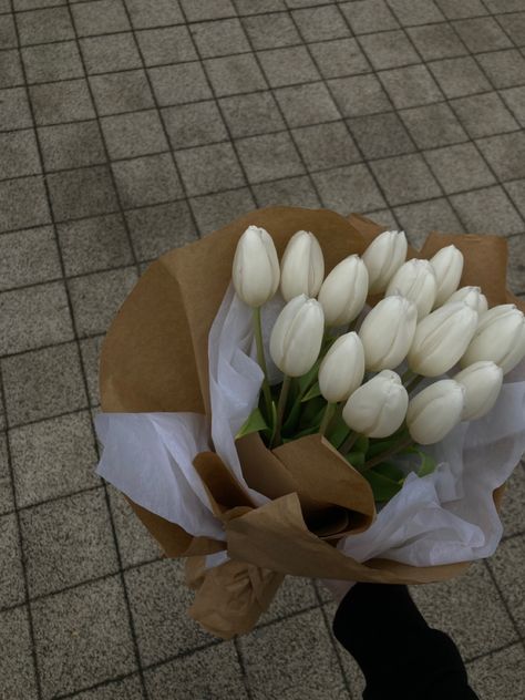 Tulips, Floral, Flowers, White Tulips, Tulips Flowers, Pretty Flowers, Spring, Flower Aesthetic, Beautiful Flowers