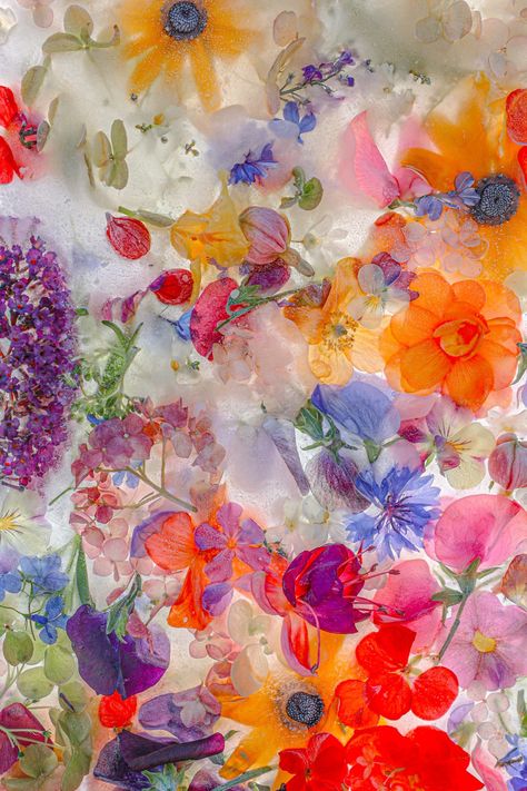 Flowers, Art, Vintage, Floral Photography, Colorful Flowers, Flower Backgrounds, Flower Aesthetic, Flower Prints, Bloemen