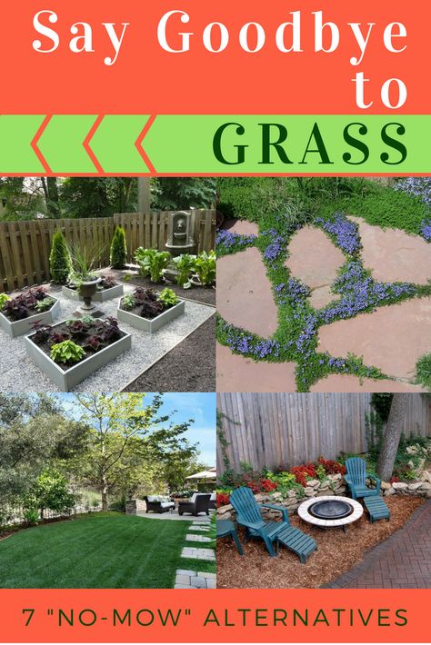 If you can’t grow grass or it’s just too much maintenance, then we have some alternative landscaping ideas for you. Get a grass-free lawn, but still have the space you want to relax and play. These no-mow yards will change your ideas about landscaping! Garden Landscaping, Back Garden Landscaping, No Grass Backyard, Backyard Grass Alternative, Backyard Grass Landscaping, Landscaping Tips, Yard Landscaping, Grass Alternative, Grasses Landscaping