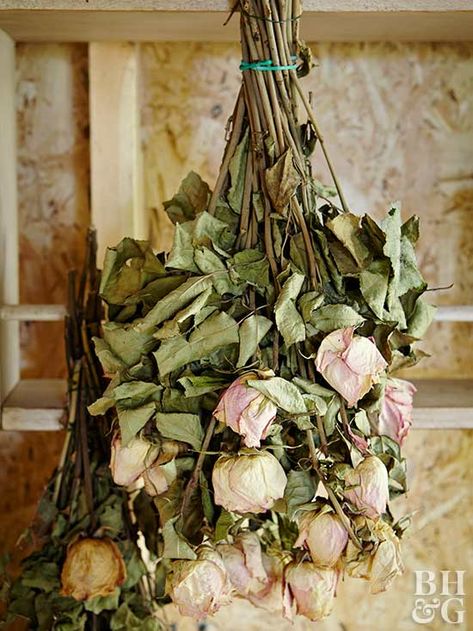 What is the Best Way to Dry Flowers to Maintain Their Color? Dried Bouquet Display, Dried Flower Bouquet, Dried Bouquet, Dried Flower Arrangements, Floral Bouquets, Flowers Bouquet, Dried Floral, Flower Arrangements, Dried Flowers Diy