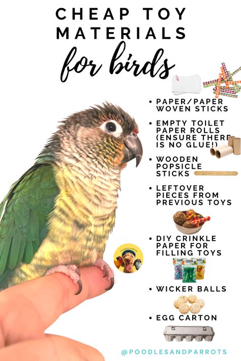 Ideas, Homemade Bird Toys, Diy Pet Toys, Diy Bird Toys, Pet Bird Cage, Natural Bird Toys, Bird Toys, Parakeet Cage, Best Pet Birds