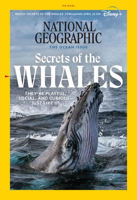 National Geographic May 2021 The Secret, Korat, National Geographic Society, National Geographic Cover, National Geographic, National Geographic Kids, National Photography, Travel Magazines, Queensland