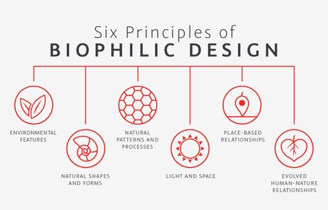 Design, Sustainable Architecture Diagram, Environmental Design, Biophilic Architecture, Principles, Sustainable Design, Concept Diagram, Embodied Energy, Diagram Architecture