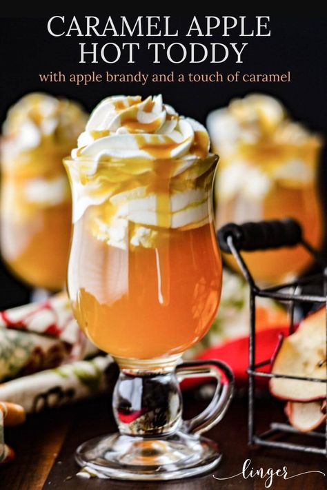 The mingling of flavors in this Hot Toddy cocktail makes it a perfect Fall & Winter drink. I’ve chosen apple brandy, apple cider, and a bit of caramel flavoring syrup. It is that simple. This holiday cocktail is topped with whipped cream and drizzled with caramel sauce. #hottoddy #cocktails #applebrandy #brandy #wintercocktail #holidaycocktail #drinks #applecider Christmas Recipes, Hot Toddy, Alcohol, Smoothies, Caramel Apples, Boozy Drinks, Brandy Cocktails, Toddy Recipe, Yummy Drinks