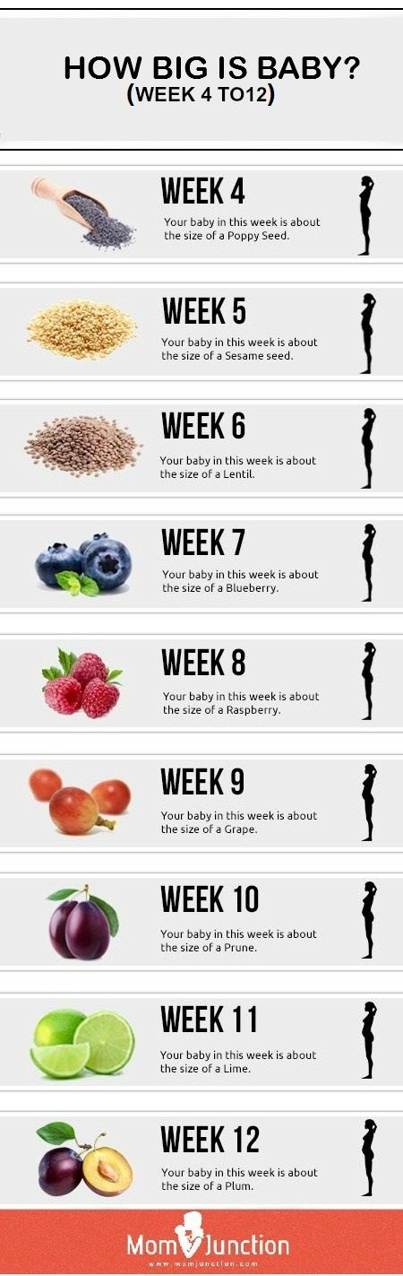 You have just discovered that you are pregnant. A little life is growing inside you – how awesome is that? Now you are scouring the net to find out as much as you can about your growing baby. Let us lend you a hand! 13 Weeks Pregnant, Baby Weeks, Baby Planning, Baby Fruit Size, Pregnancy Info, How Big Is Baby, Having A Baby, Baby Fever, Baby Hacks