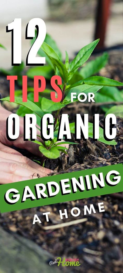 Organic Gardening Tips, Garden Diy Hacks, Easy Gardening Hacks, Growing Organic Vegetables, Natural Pesticides, Organic Fruits And Vegetables, Organic Vegetable Garden, Sustainable Garden, Home Vegetable Garden