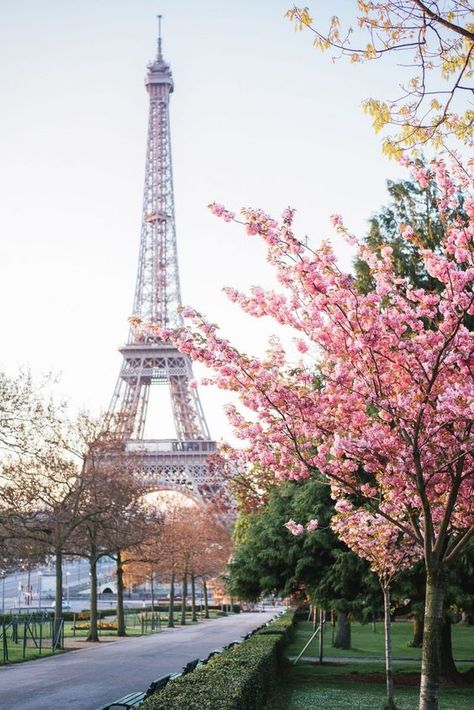 Paris France, Paris, Tours, Paris Travel, Paris Wallpaper, Paris In Spring, Paris In April, Visit Paris, Spring In Paris