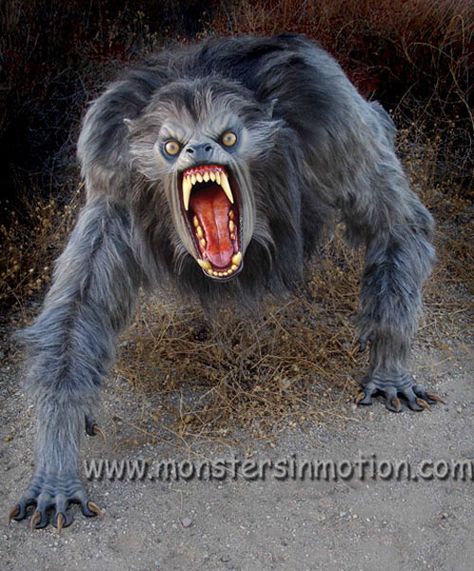 american werewolf in london | An American Werewolf in London Lifesize Prop Horror, Scary Movies, Scary, Classic Monsters, Fright Night, Lycanthrope, Classic Horror Movies, Vampires And Werewolves, Wolfman