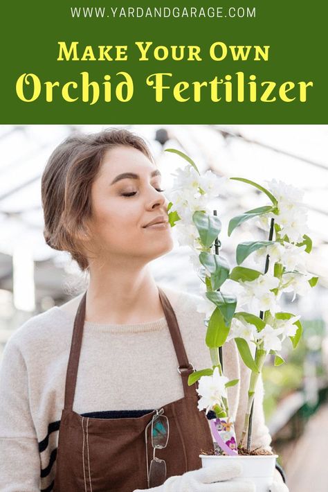 Orchid Fertilizer, Orchid Care, Orchid Plant Care, Growing Orchids, Repotting Orchids, Fertilizer For Plants, Orchid Varieties, Taking Care Of Orchids, Orchid Plants