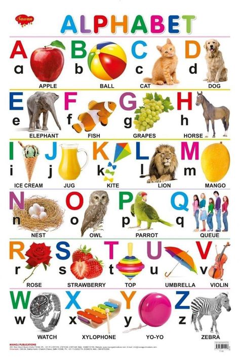 How to teach phonics to beginners through Urdu/Hindi. Pre K, Alphabet Preschool, Alphabet Charts, Alphabet Activities Preschool, Alphabet For Kids, Animal Alphabet, Alphabet Wall, Preschool Charts, Alphabet Pictures