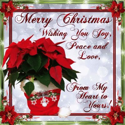 Natal, Merry Christmas Love, Merry Christmas Quotes Love, Merry Christmas Message, Christmas Greetings Quotes, Merry Christmas Quotes, Merry Christmas Greetings, Merry Christmas Wishes, Christmas Wishes Quotes