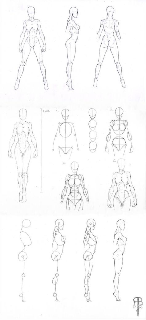 Body Reference Drawing, Body Drawing Tutorial, Body Drawing, Female Drawing, Body Sketches, Drawing Female Body, Figure Drawing Reference, Female Bodies, Human Drawing