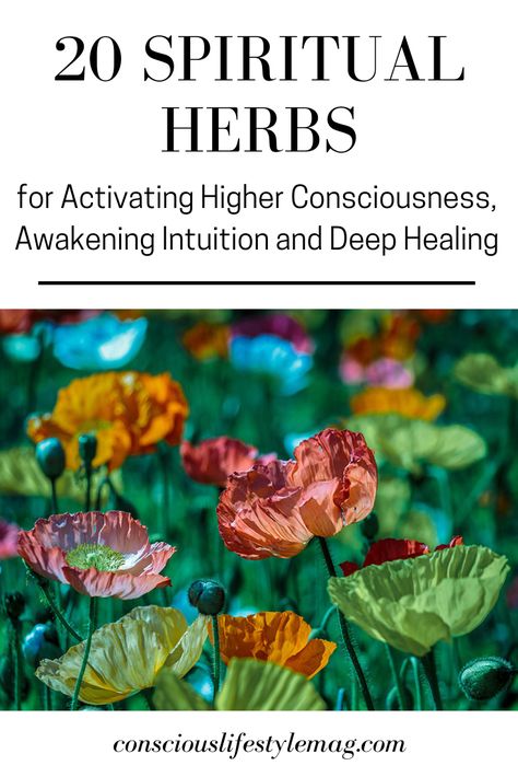 Spiritual Herbs: These powerful spiritual herbs and plants have been used for millennia to activate higher awareness, intuitive abilities and deep healing on every level. #herbs #spirituality #HolisticHealth #ConsiousLifestyleMag Reading, Holistic Healing, Mindfulness, Gardening, Meditation, Intuitive Healing, Healing Herbs, Healing, Higher Consciousness