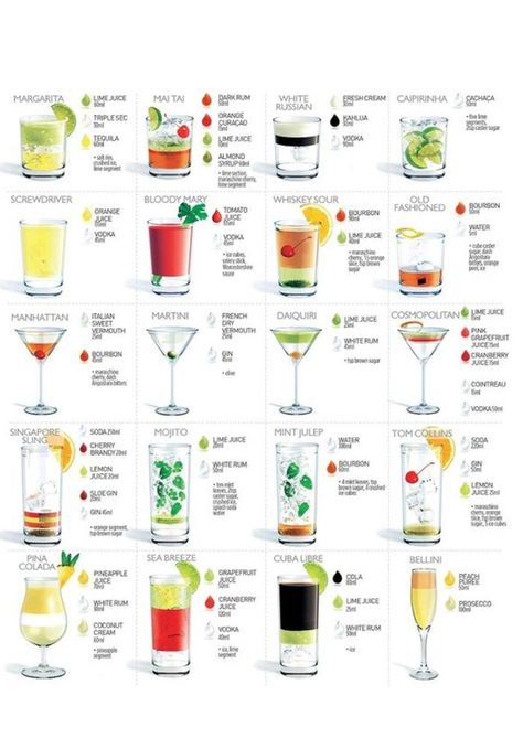 Cocktails 101 Alcoholic Drinks, Alcohol Drink Recipes, Mixed Drinks, Alcohol Recipes, Cocktail Ingredients, Popular Cocktails, Cocktail Drinks, Most Popular Cocktails, Whiskey Sour