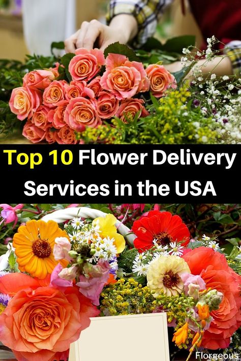 Looking for the best flower delivery service in the USA? Check our list here!  #flowers #flowerdelivery #florist #flower #garden #USA Ideas, Best Flower Delivery, Flower Arrangements Delivery, Flower Delivery, Fresh Flower Delivery, Flower Delivery Service, Buy Flowers Online, Flower Delivery Usa, Flowers Delivered