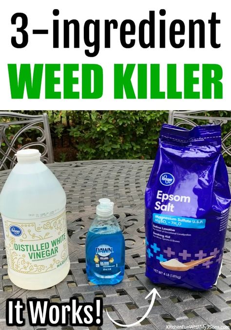 Gardening, Weed Killer Recipe, Natural Weed Killer, Weed Killer Homemade, Diy Weed Killer, Weed Killer, Natural Homemade, How To Make Homemade, Weed Spray