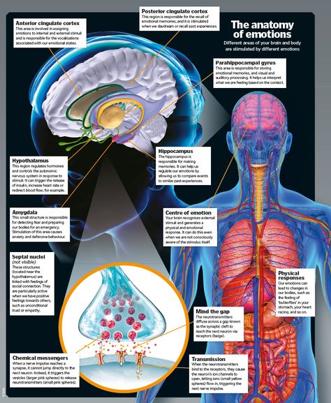 The science of emotions – How It Works Chakras, Ideas, Fitness, Psychology Facts, Auditory Processing Disorder, Autonomic Nervous System, Limbic System, Auditory Processing, Medical Knowledge