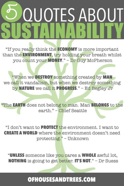 Sustainability Quotes | Five sustainability quotes superimposed over images of mountains, forests and a child hugging a very large tree. Cheesy? Perhaps. True? Hell yes. Environmental Quotes, Sustainable Living Quotes, Sustainability Quotes, Ecofriendly Quotes, Eco Quotes, Sustainable Development Goals, Sustainability Articles, Sustainable Development Projects, Environmentally Friendly Living