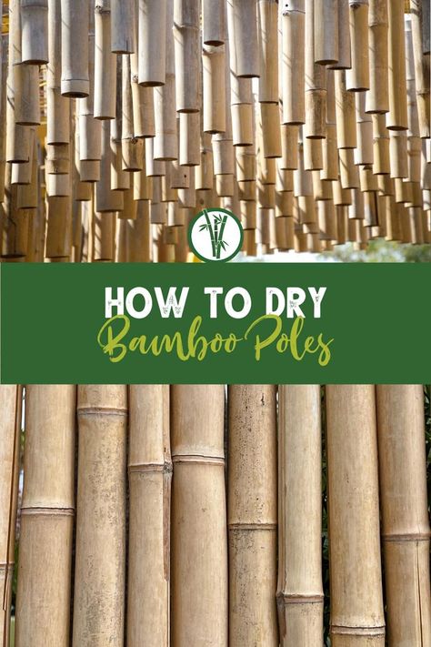 Drying bamboo stems hanging and standing with the text: How To Dry Bamboo Poles Dried, Bamboo, Green House Design, Bamboo House Design, Bamboo Building, Bamboo House, Fence Design, Bamboo Construction, Bamboo Garden
