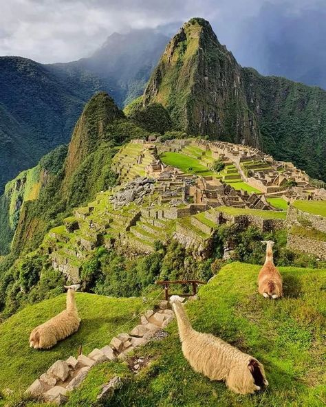 Machu Picchu, Peru, Picchu, Machu Picchu Peru Aesthetic, Machu Picchu Peru, Machu Pichu Peru, Fotografie, Machu Pichu, Machu