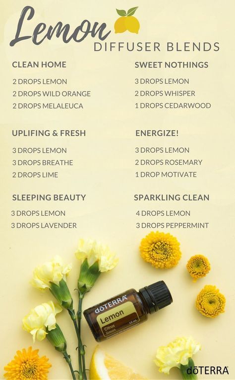 Diffuser recipes for lemon essential oil. Uses for lemon essential oil. Lemon oil uses and benefits Perfume, Best Smelling Essential Oils, Best Essential Oils, Essential Oils Aromatherapy, Essential Oil Diffuser Blends Recipes, Essential Oil Combinations, Essential Oil Blends Recipes, Essential Oil Diffuser Blends, Essential Oil Diffuser Recipes