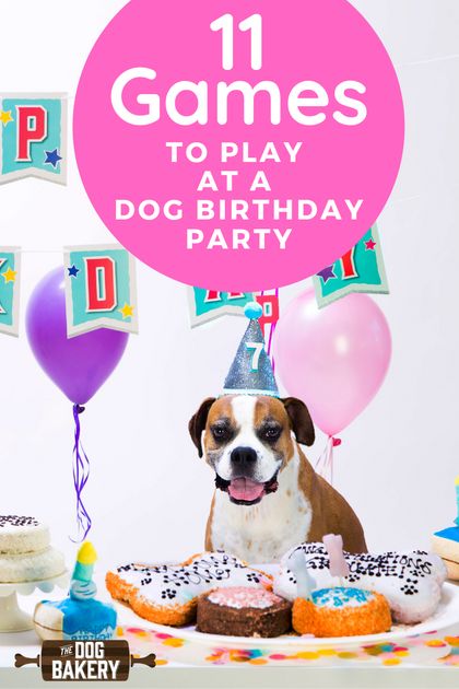 Adoption, Flora, Cake, Lady, Dog Party Games, Puppy Party Games, Dog Birthday Party Pets, Dog Birthday Party, Dog Themed Birthday Party