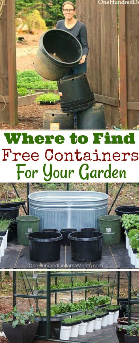 Garden Care, Shaded Garden, Gardening, Gardening Supplies, Garden Supplies, Container Gardening, Indoor Gardening Supplies, Gardening Tips, Container Gardening Vegetables