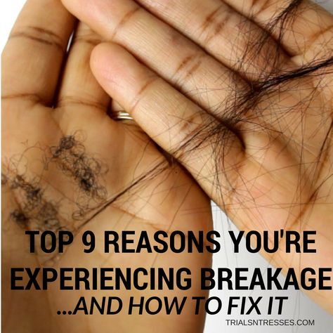 Diy, Hair Growth, How To Prevent Hair Breakage, Stop Hair Breakage, Hair Breakage Remedies, Hair Breakage Treatment, Hair Shedding Remedies, Hair Breakage, Brittle Hair
