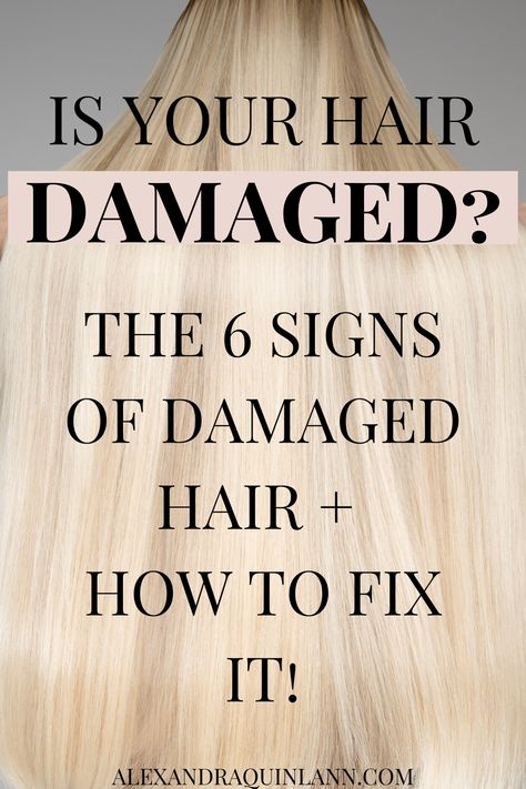 Is your hair damaged? Did you bleach your hair and now it’s knotty? Do you have split ends or breakage? These are the 6 signs your hair might be damaged. Plus the hair care products that will repair your damaged hair and make it look healthy again! Ideas, How To Prevent Hair Breakage, Stop Hair Breakage, Hair Breakage Treatment Diy, Treatment For Damaged Hair, Heat Damaged Hair, Hair Breakage Remedies, Damage Hair Care, Damaged Hair Remedies