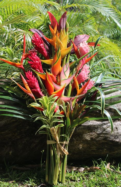 Tropical Flowers And Bouquets Of Hawaii - Google Search Floral, Tropical Flowers, Tropical Flowers Bouquet, Tropical Flower Arrangements, Tropical Floral Arrangements, Flowers Bouquet, Tropical, Colorful Flowers, Tropical Wedding