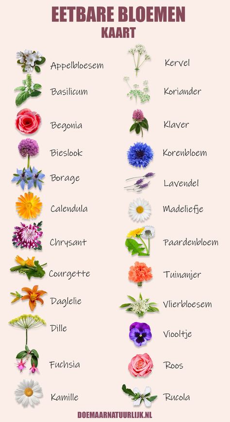 Nature, Plants, Flowers, Flora, Mother Nature, Herbs, Bloemen, Tuin, Flower Meanings