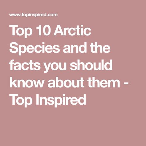 Top 10 Arctic Species and the facts you should know about them - Top Inspired Marine Life, Species, Arctic Animals, Bird Species, Arctic, Wildlife, Polar Bears Live, 10 Things, Facts