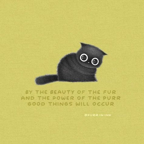 Pandas, Illustrators, Humour, Crazy Cat Lady, Cat Quotes, Cat Love, Cats And Kittens, Cats Meow, Cats