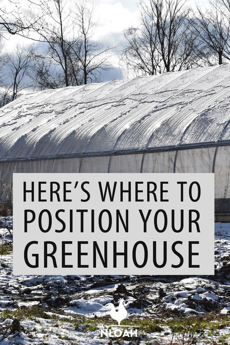 Garden Planning, Greenhouse Growing, Best Greenhouse, Greenhouse Gardening, Greenhouse Farming, Large Greenhouse, Garden Greenhouse, Small Greenhouse, Outdoor Greenhouse