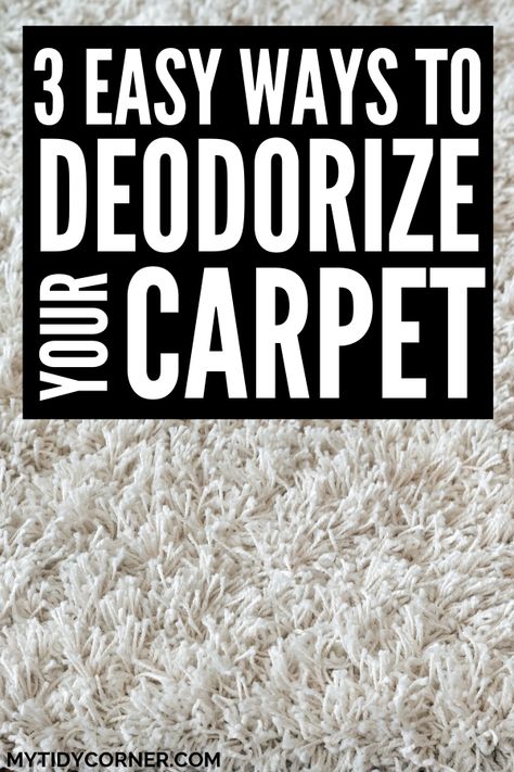 Rv, Design, Hair Hair, Pet, Decoration Design, Pet Oder In Carpet, New Carpet, Carpet, Repurpose