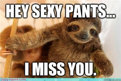 Looking for an I Miss You meme? Here are the 6 best.: Hey Sexy Pants… I Miss You Humour, Funny Memes For Him, Memes For Him, Funny Miss You Quotes, Flirty Memes, Funny Love, Memes About Relationships, Love Memes For Him, Missing You Memes