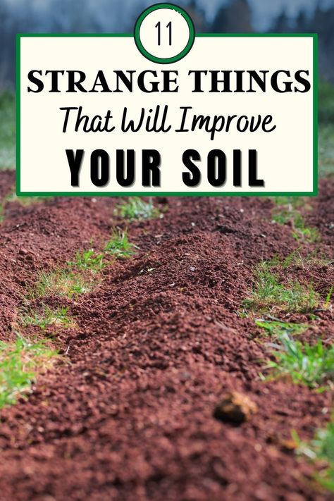 Healthy soil requires a balanced combination of elements with a key role in the different processes of your plant. Compost, Gardening, Organic Gardening, Outdoor, Soil Improvement, Soil Health, Organic Gardening Soil, Soil Additives, Organic Gardening Pest Control