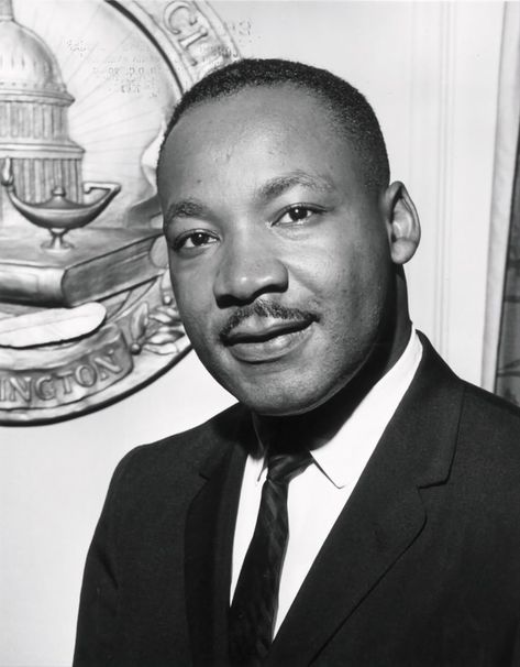 Martin Luther King Quotes, Nelson Mandela, Civil Rights Leaders, Martin Luther King Jr, Dr Martin Luther King Jr, American, Dr Martin Luther King, King Jr, American History Lessons