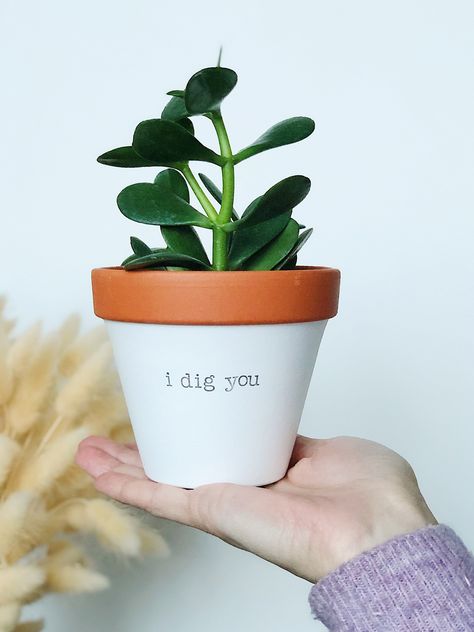 "I dig you. (no really, I do!) This adorable planter stands 4\" tall and approximately 4\" wide and it will hold a succulent, cactus or a small leafy plant. Need a larger version? Choose the 6\" pot under the drop down menu. The pot features a drainage hole for easy rotting - no root rot here! And did you know that terracotta is one of the BEST planters you can use for your plants? Due to its porous nature, it allows the plants to soak up as much water as it needs. Cool, eh?! * TWO SIZES: 4\" ta Plant Puns Pots, Plant Lady Gifts, Funny Plant Pots, Puns Stickers, Scuba Steve, Plant Person, Funny Secret Santa Gifts, Diy Terra Cotta Pots, Plant Puns