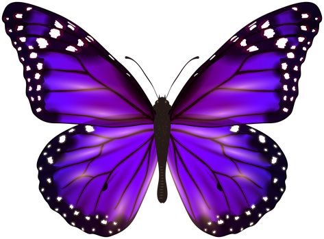 Tattoo, Instagram, Butterfly Clip Art, Butterfly Print, Butterfly Template, Purple Butterfly, Butterfly Images, Purple Butterfly Wallpaper, Butterfly Wallpaper