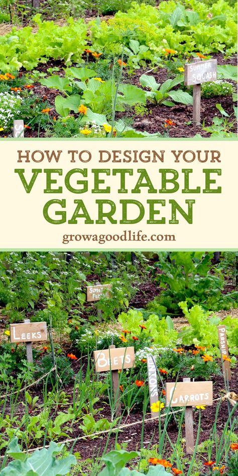 Design, Winter, Vegetable Garden, Decoration, Layout, Vegetable Garden Design, Vegetable Garden Planning, Small Vegetable Gardens, Garden Veggies