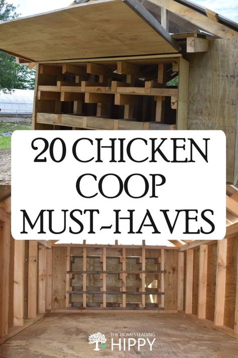 Chicken Coop Garden, Diy Chicken Coop, Chicken Coop Designs, Chicken Coop, Homestead Chickens, Chicken Coop Run, Small Chicken Coops, Cute Chicken Coops, Walk In Chicken Coop