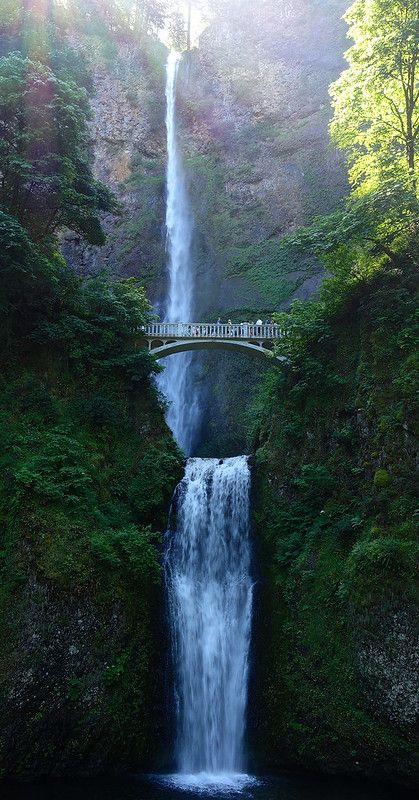 Portland Oregon, Nature, Trips, Oregon, Oregon Travel, Oregon Vacation, Oregon Waterfalls, Oregon Life, Oregon Living