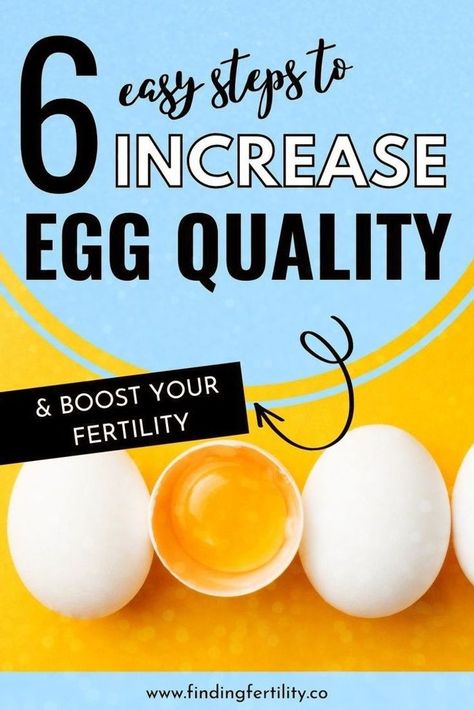 Stop guessing what you need to do to improve your egg quality! Check out The Finding Fertility Formula & discover how to create the family of your DREAMS today! The Formula goes in-depth in the six steps you need to take to improve your egg quality & almost everything else related to your fertility issues. Tap for more from Finding Fertility | Fertility Health Coach, IVF + TTC support Egg Fertilization, Ivf Egg Retrieval, Ivf Diet, Egg Health, Healthy Pregnancy, Fertility Boosters, Fertility Foods, Get Pregnant Fast, Fertility Diet