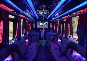 Party Bus 18 people - http://www.tampalimousinevip.com/fl/  #partybus #limousine #carservice #transportation #cars #trucks #automotive #travel  http://www.price4limo.com/tampa-party-bus.html Mini Bus, Trips, Tours, Las Vegas, Party Bus Rental, Party Bus For Sale, Party Bus, Limo Party, Vegas Party