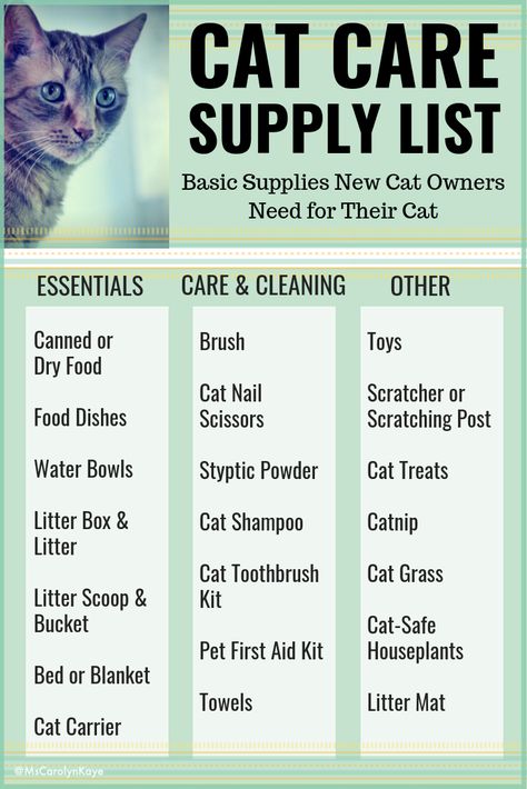 Cat Care Supplies List - A list of some basic supplies and other items new cat owners need for their cat. #cats #pets Dog Supplies, Pet Care, Pet Care Tips, Cat Care Tips, Pet Care Cats, Cat Care, Cat Owners, Pet Hacks, Kitten Care