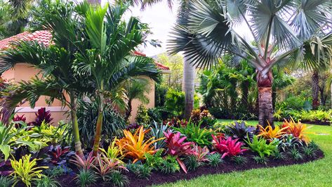 Designing A Colorful Landscape Despite A Blend Of Shade And Sun - Turf Garden Design, Inspiration, Designers, Design, Landscape Designs, Tropical Landscaping, Tropical Landscape Design, Landscape Design, Tropical Garden Design