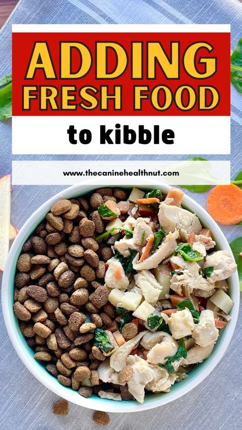 Healthy Recipes, Flora, Pugs, Ideas, Whole Food Recipes, Foods Dogs Can Eat, Fresh Food Diet, Fresh Diet, Raw Dog Food Recipes